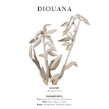 Diouana Artisan Candle